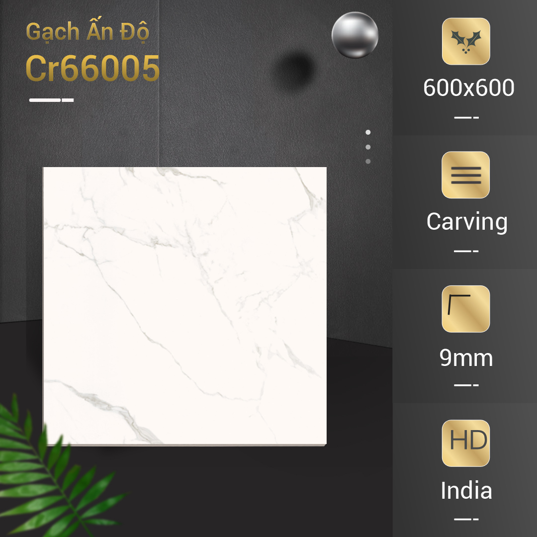 Gạch Azone 600x600 NUBE STATUARIO CR66005