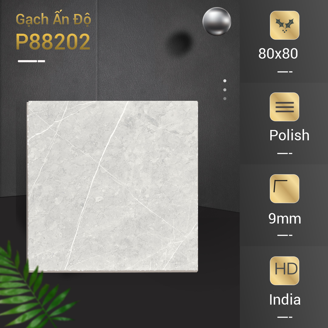 Gạch Ấn Độ Azone 80x80 P88202