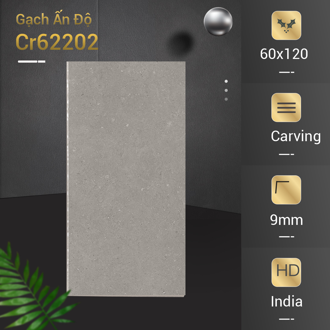 Gạch Ấn Độ Azone 60x120 Cr62202