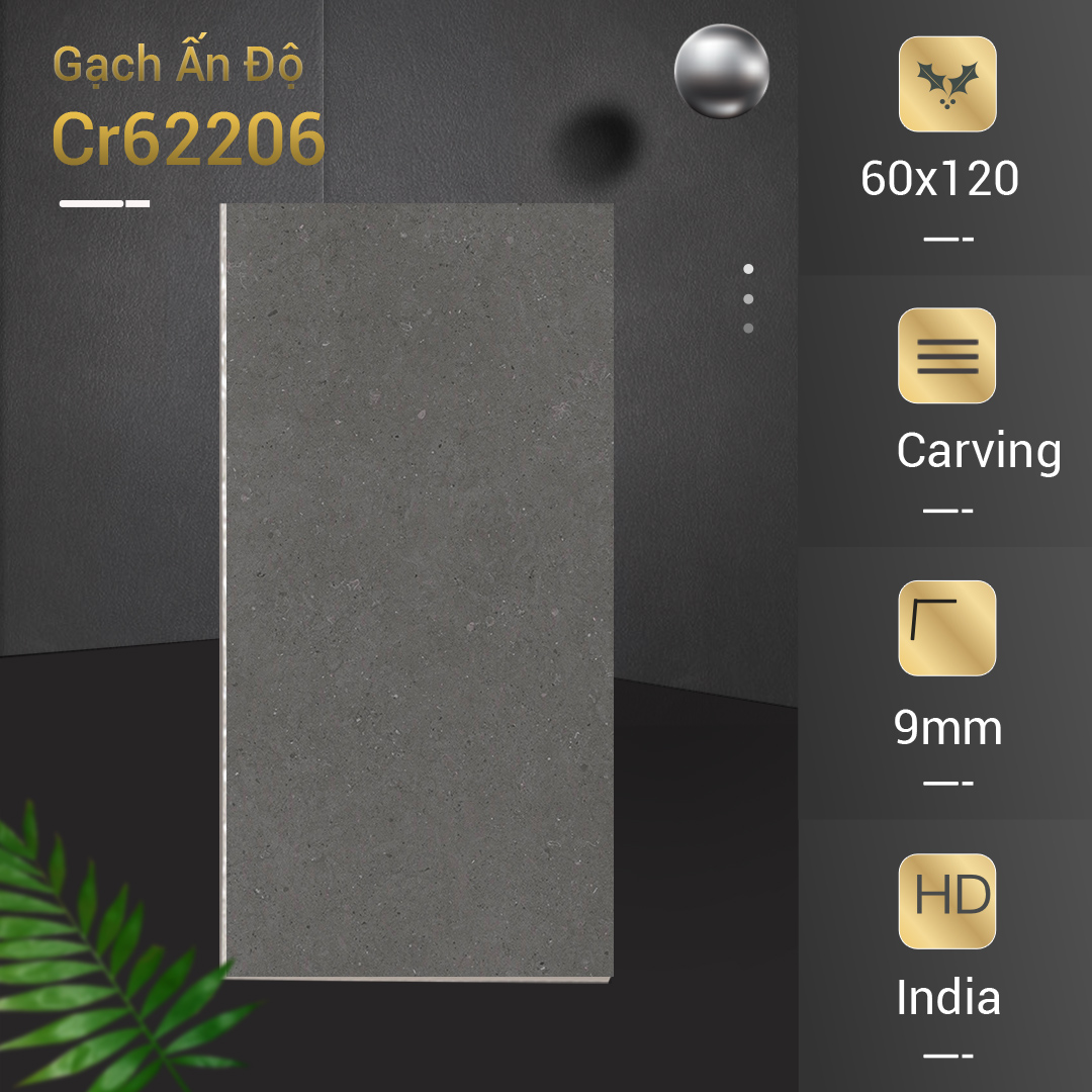 Gạch Ấn Độ Azone 60x120 Cr62206
