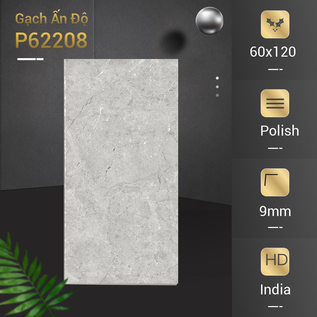 Gạch Ấn Độ Azone 60x120 P62208