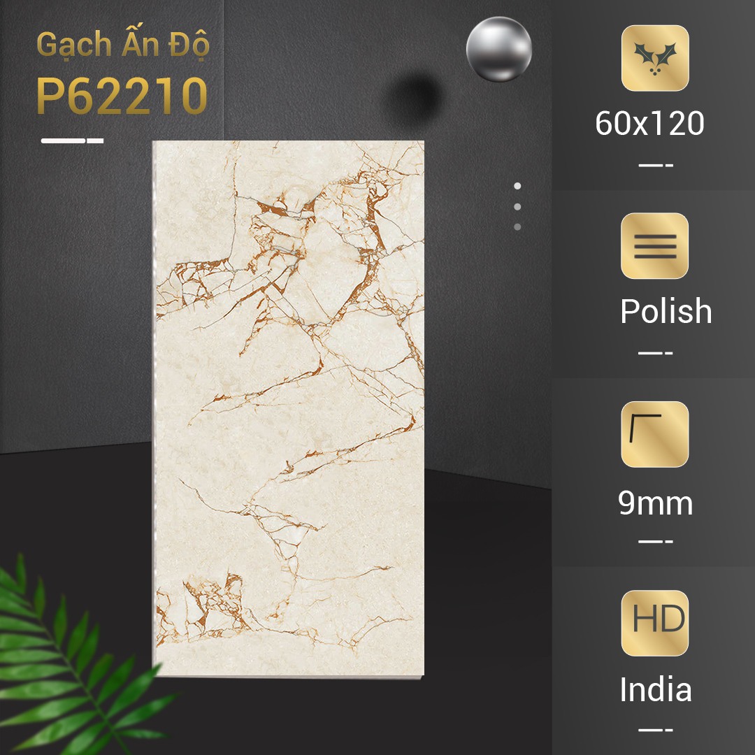 Gạch Ấn Độ Azone 60x120 P62210