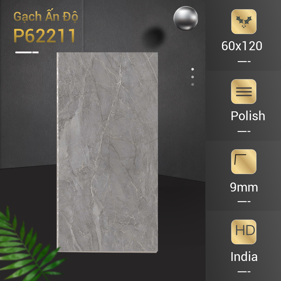 Gạch Ấn Độ Azone 60x120 P62211