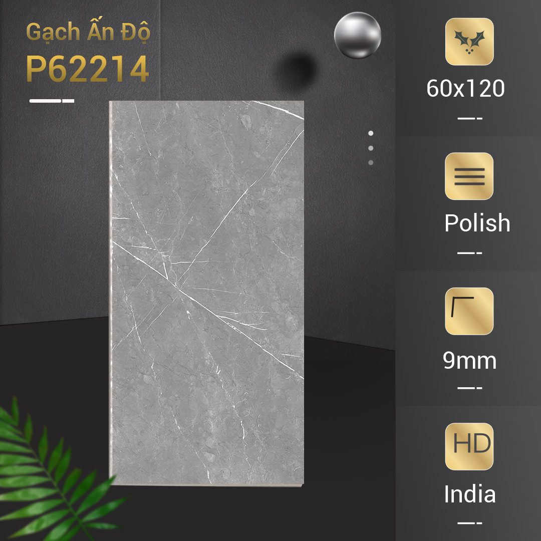 Gạch Ấn Độ Azone 60x120 P62214