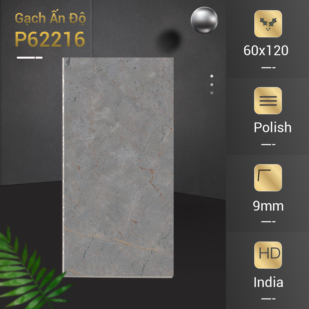 Gạch Ấn Độ Azone 60x120 P62216
