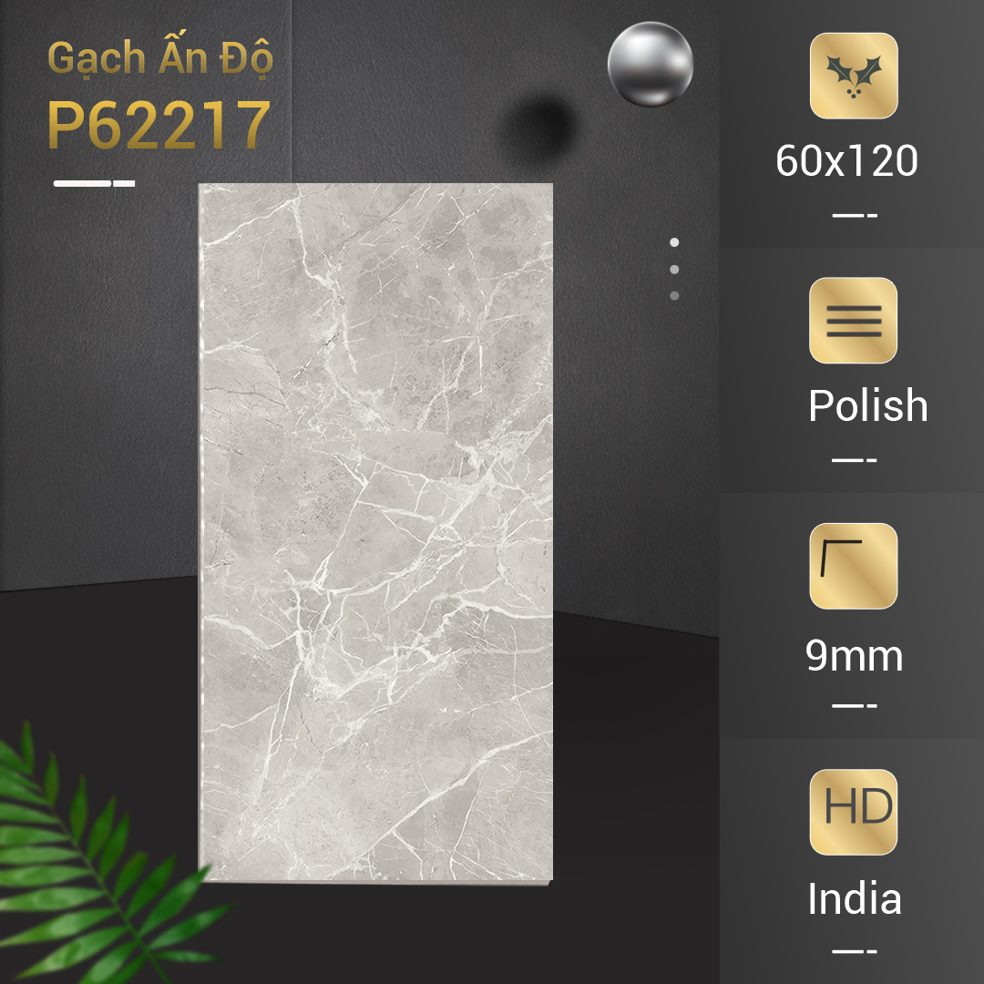 Gạch Ấn Độ Azone 60x120 P62217