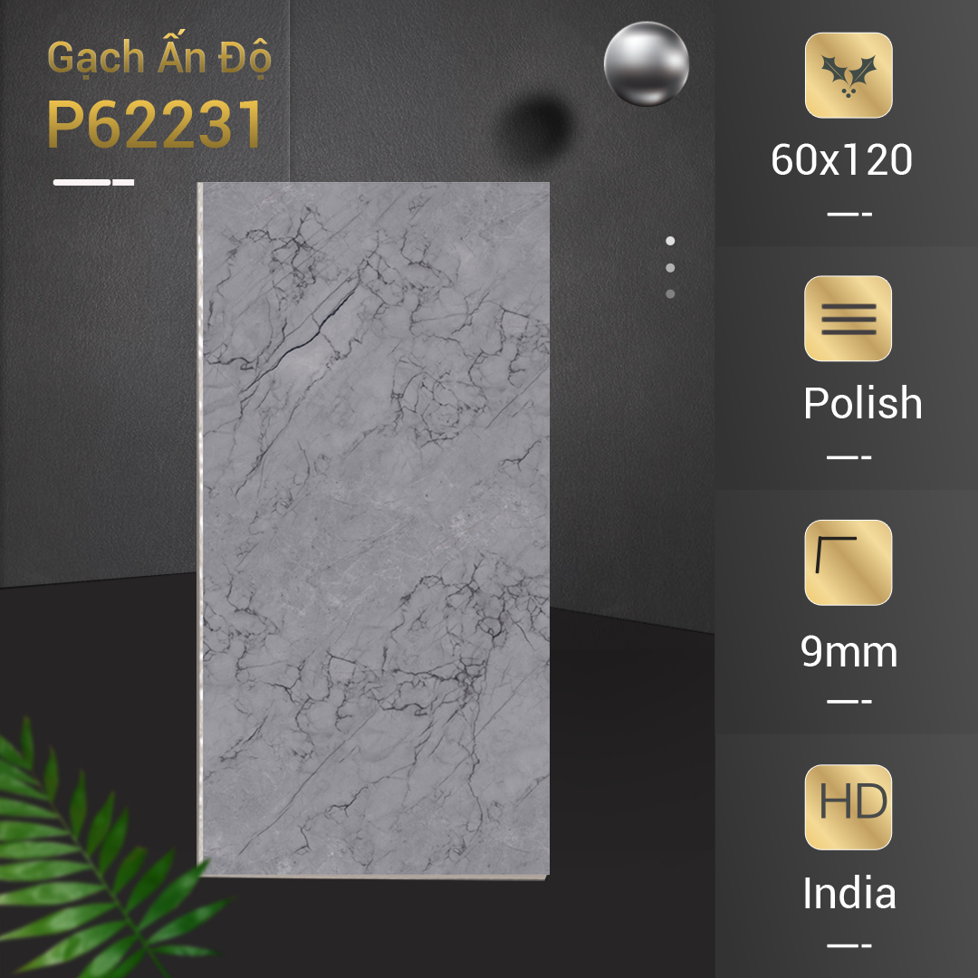 Gạch Ấn Độ Azone 60x120 P62231