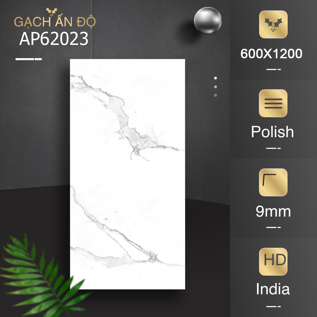 Gạch Ấn Độ Azone 60x120 AP62023